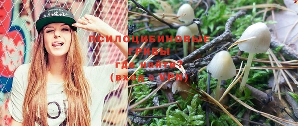 прущие грибы Абдулино