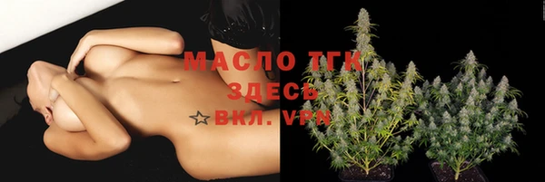 гидра Абаза