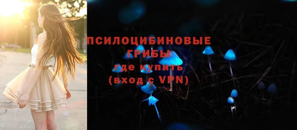 гидра Абаза
