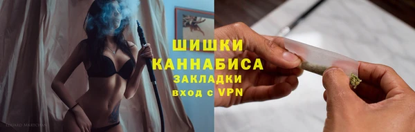 гидра Абаза