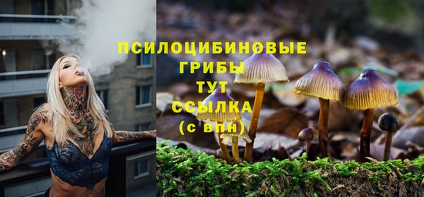 гидра Абаза
