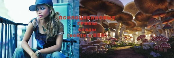 МДМА Белокуриха