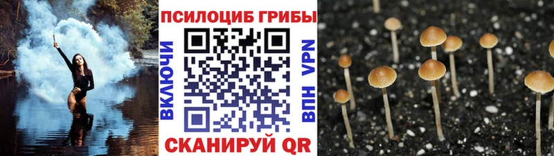 купить   Благодарный  Галлюциногенные грибы ЛСД 